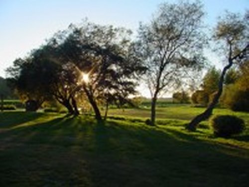Photo de Michel Claquin