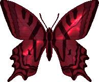 btrfly2.gif (10698 octets)