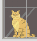 chat-03.gif (4311 octets)