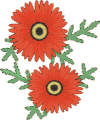 compose2.gif (6254 octets)