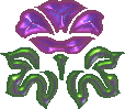 flw97.gif (3722 octets)