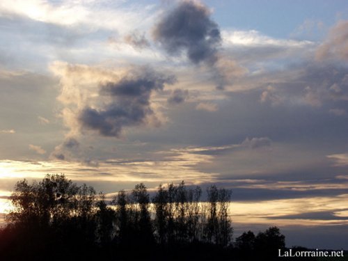 Photo de Antoine Ducret. 