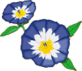 petunia2.gif (5964 octets)