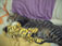 lila with his favourite toy