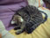 snooze again...