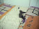 hogging my bed!