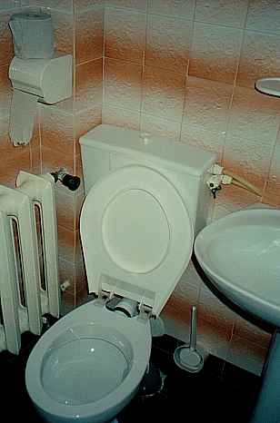 Toilet with 'shelf'