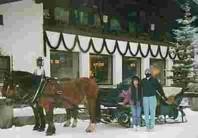 Sleigh in Germany