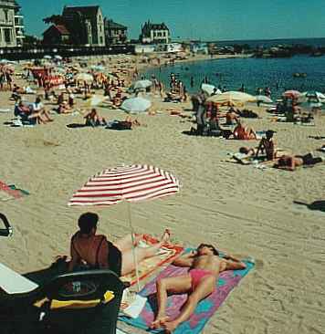 Topless bather on beach