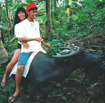 Carabao & Crochet hat