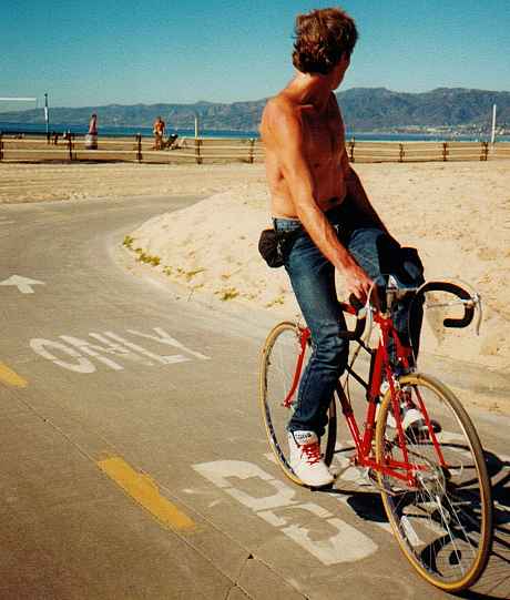 Wrong way rider