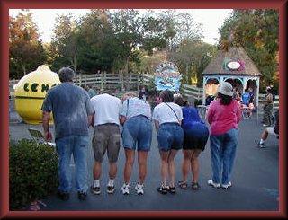 backsides.jpg (26593 bytes)