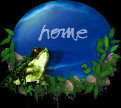 frogshome.jpg (6474 bytes)