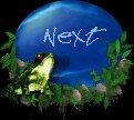 frogsnext.jpg (5044 bytes)