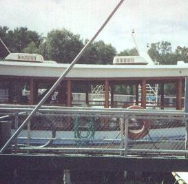 swamp.jpg (15599 bytes)