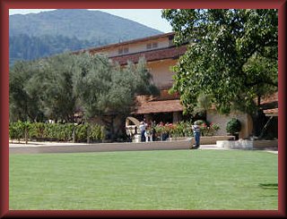 winery.jpg (25616 bytes)