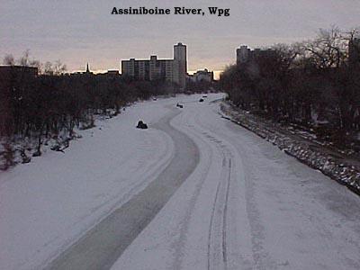 Assiniboine 99