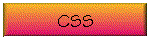 CSS