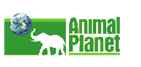 Animal Planet Website