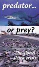 PDF format of The Global Shark Crisis