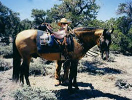 Dun Paso Fino Leo de Vez on endurance ride. 