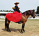 Ride a Gracia Paso Fino. Owner Ann Betts rides Rosalina de Gracia. 
