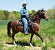 Gracewood Farm produces top quality pleasure Paso Fino horses.