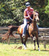 Lynn riding bridleless