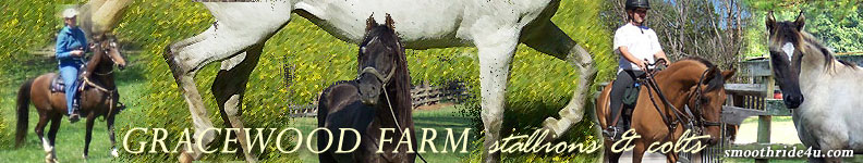 welcome to Gracewood Farm