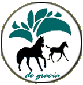 Welcome to Gracewood Farm Paso Fino Horses