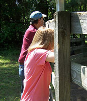 Horsemanship clinics