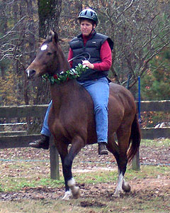 Equine Bridleless Demonstrations