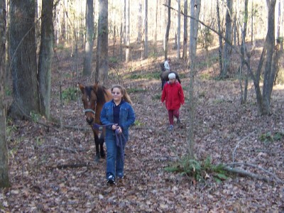 Trail walking with horses