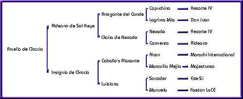 Arianna's pedigree