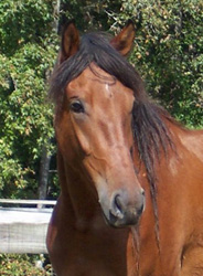Amelia's profile, 10/2004