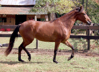 youth ridr on Arianna