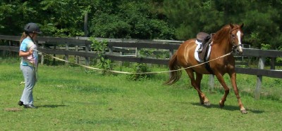 Arianna being lunged by youth
