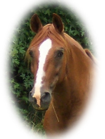 Arianna de Dixeland, October 2004  