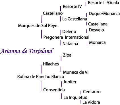 Arianna's pedigree