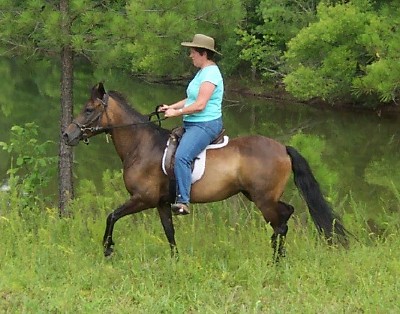 Davina and Lynn ride