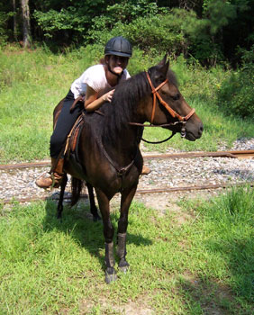 Advanced beginner rider on trail ride with Davina