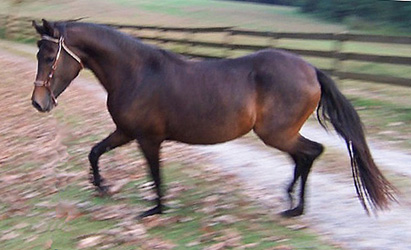 Davina's natural collection, 10/2004