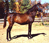 Davina at 7 months old