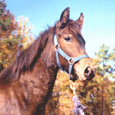 Davina at 7 months old