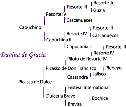 Davina's pedigree