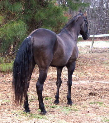 Emperador, Feb 2005