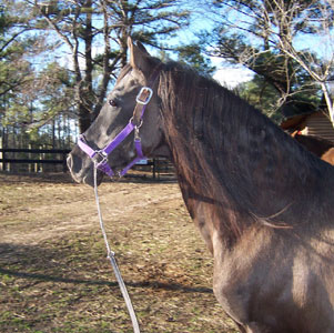 Emperador 2-5-06