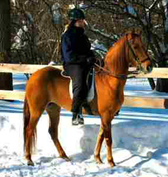 Abril Diamante in Canada