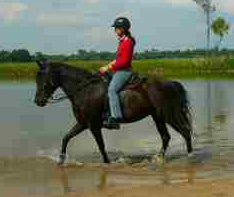 Captiva de Rafael 