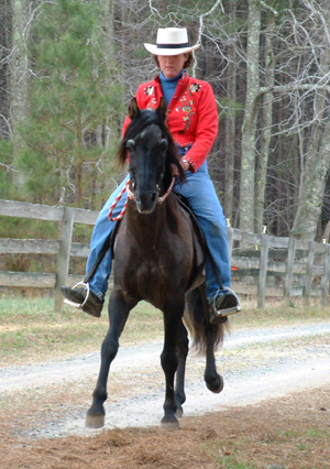 Emperador ridden by owner Lynn Gallup. Photo by Carol Nudell.